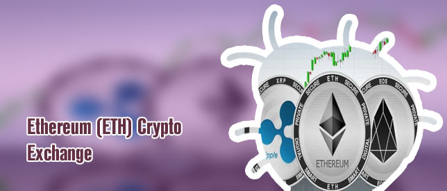 Best ethereum exchanges