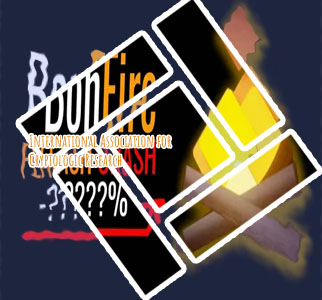 Bonfire crypto link