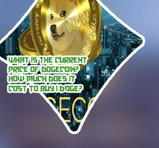 Crypto doge