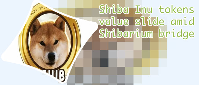 Cryptocom shiba inu