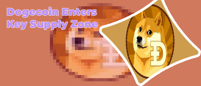 Dogecoin supply