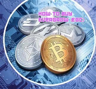 Evergrow crypto coinbase