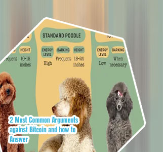 Poodle crypto coin