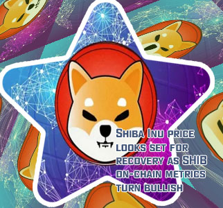 Shiba inu cryptocom price