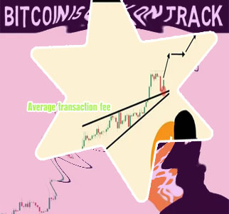 Track btc