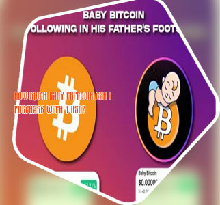 Where can you buy baby bitcoin